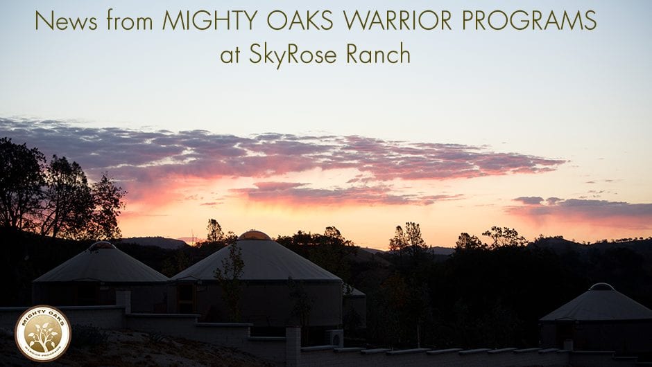 Update on Mighty Oaks Warrior Programs