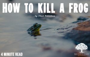 How to Kill A Frog