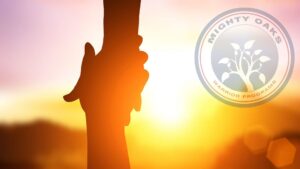 <b>Restoring Hope: Crisis-Counseling for PTSd</b>
