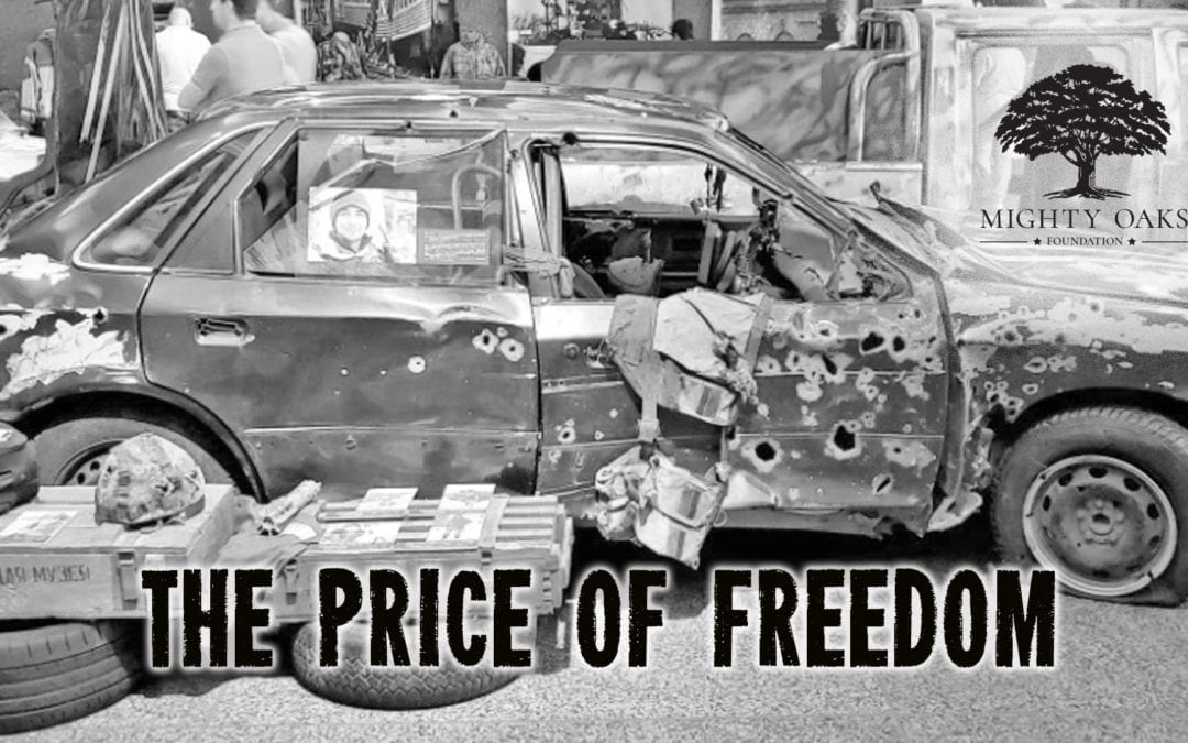 The Price of Freedom: Citizen Soldier, Citizen Servant