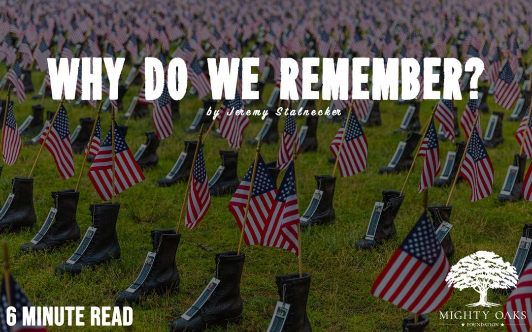 Why Do We Remember?