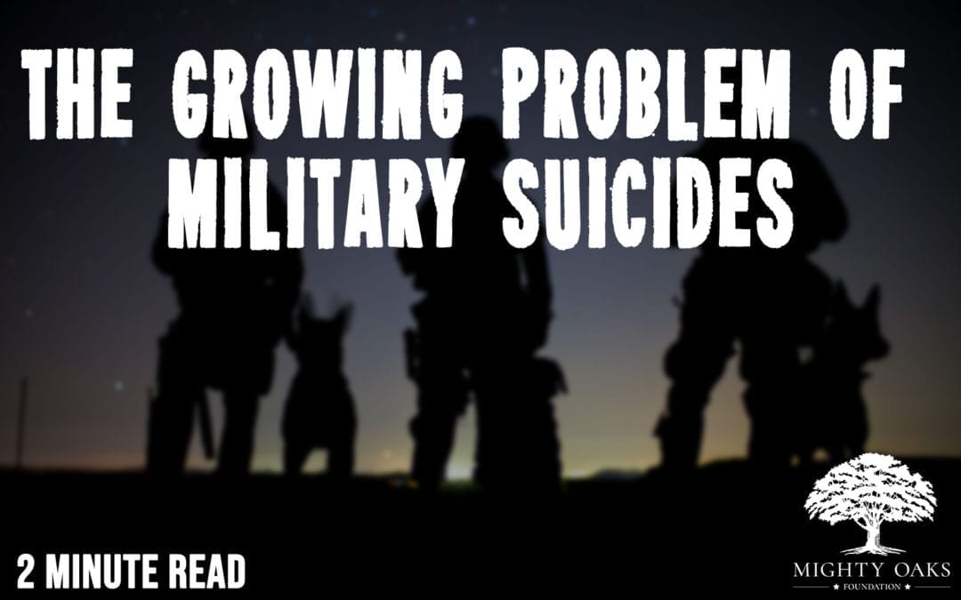 The Growing Problem of Military Suicides