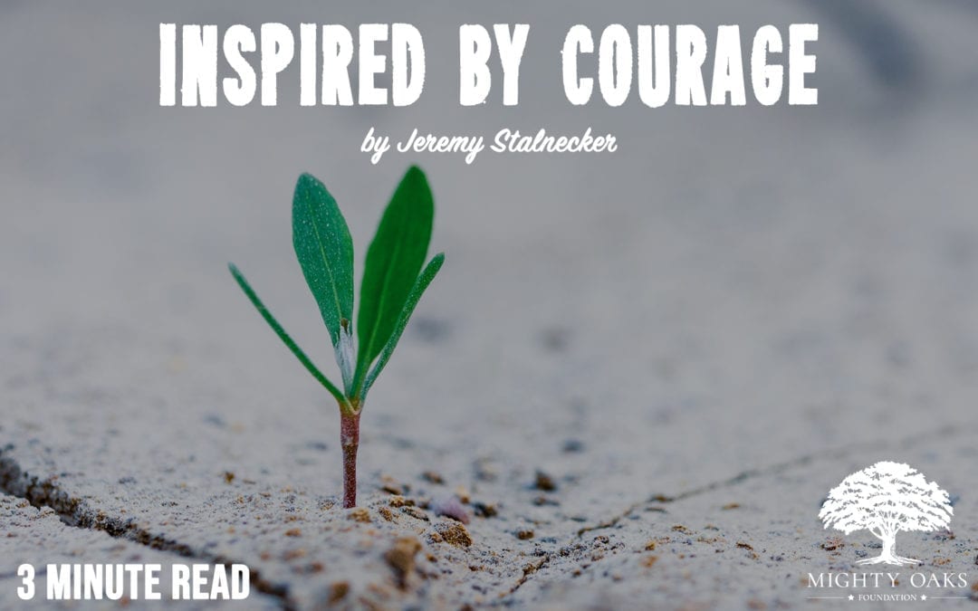 Inspired by Courage