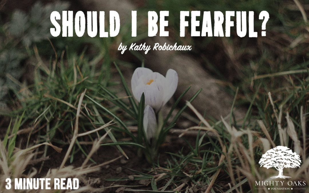 Should I Be Fearful?