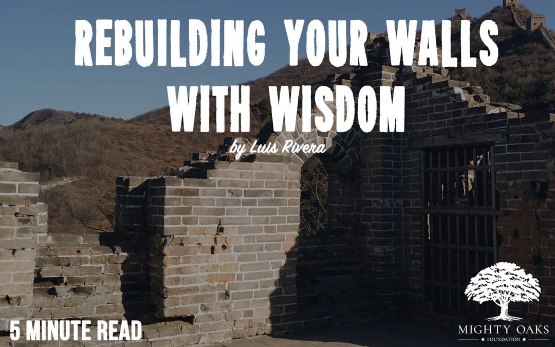 Rebuilding Your Walls With Wisdom