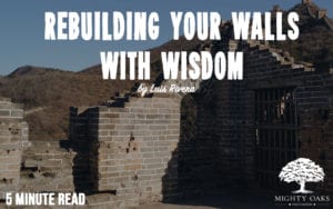 Blog Thumbnail Rebuilding Your Walls
