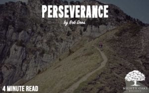 BlogThumbnail Perseverance