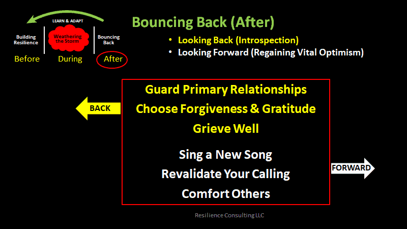 bouncing-back-diagram