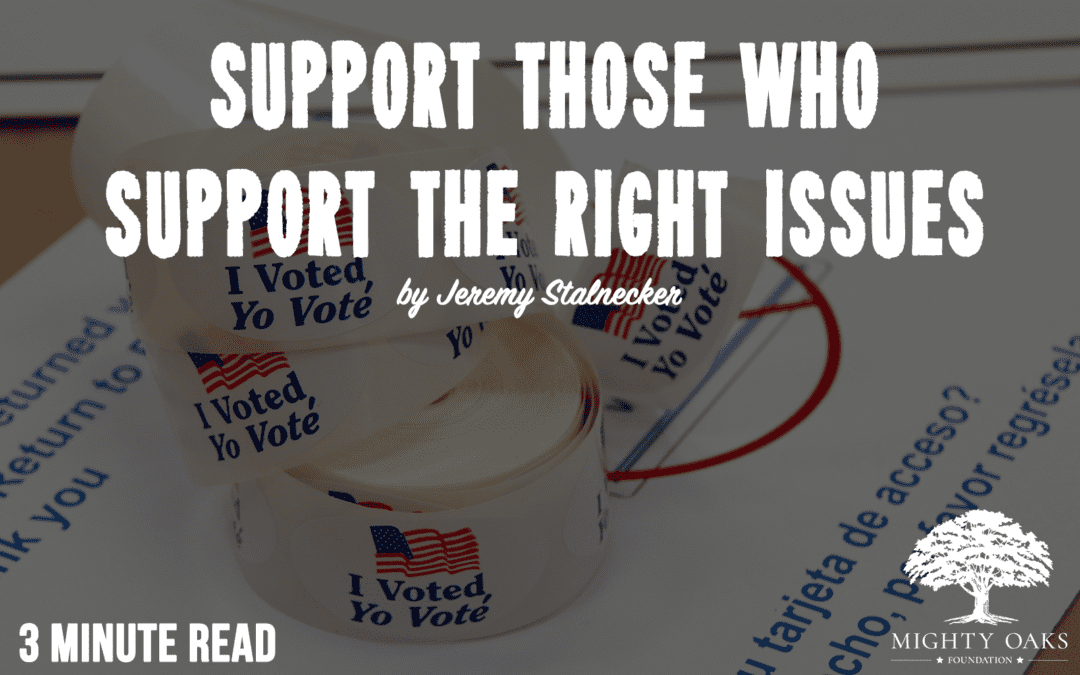 A Christian’s Guide to Voting: Support Those Who Support the Right Issues