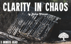 <b>Clarity in the Chaos</b>