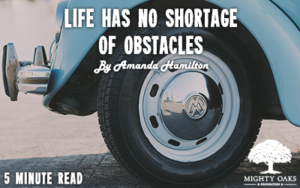 <b>Life Has No Shortage of Obstacles</b>