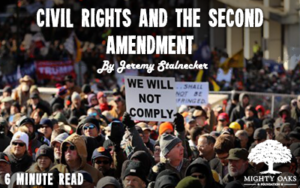 <b>Civil Rights and the Second Amendment</b>