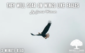 <b>They Will Soar on Wings Like Eagles</b>