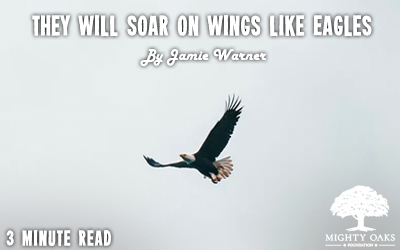 They Will Soar on Wings Like Eagles