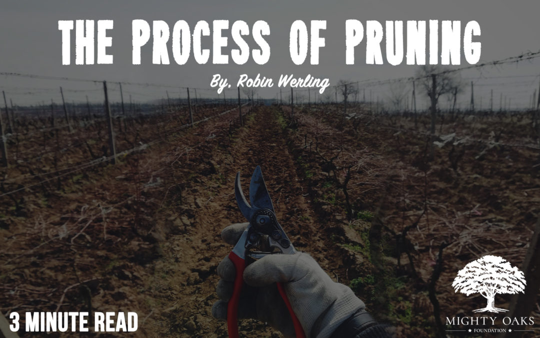 The Process of Pruning