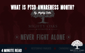 <b>What is PTSd Awareness Month</b>