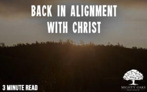 Field with "Back In Alignment With Christ" Title