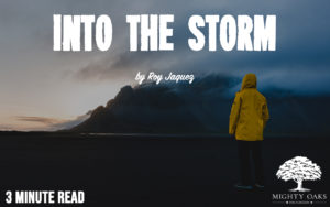 <b>Into the Storm</b>
