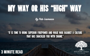 <b>My Way Or His High Way</b>