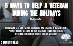 <b>5 Ways You Can Help a Veteran During the Holidays!</b>